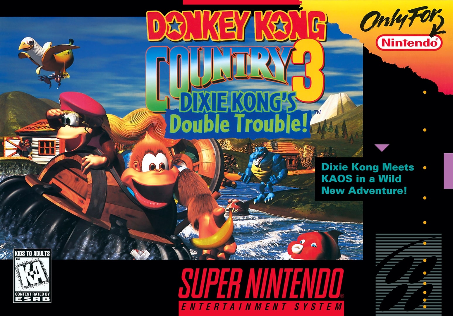 Donkey Kong Country 3 SNES - Video Game - Used - CaveGamers