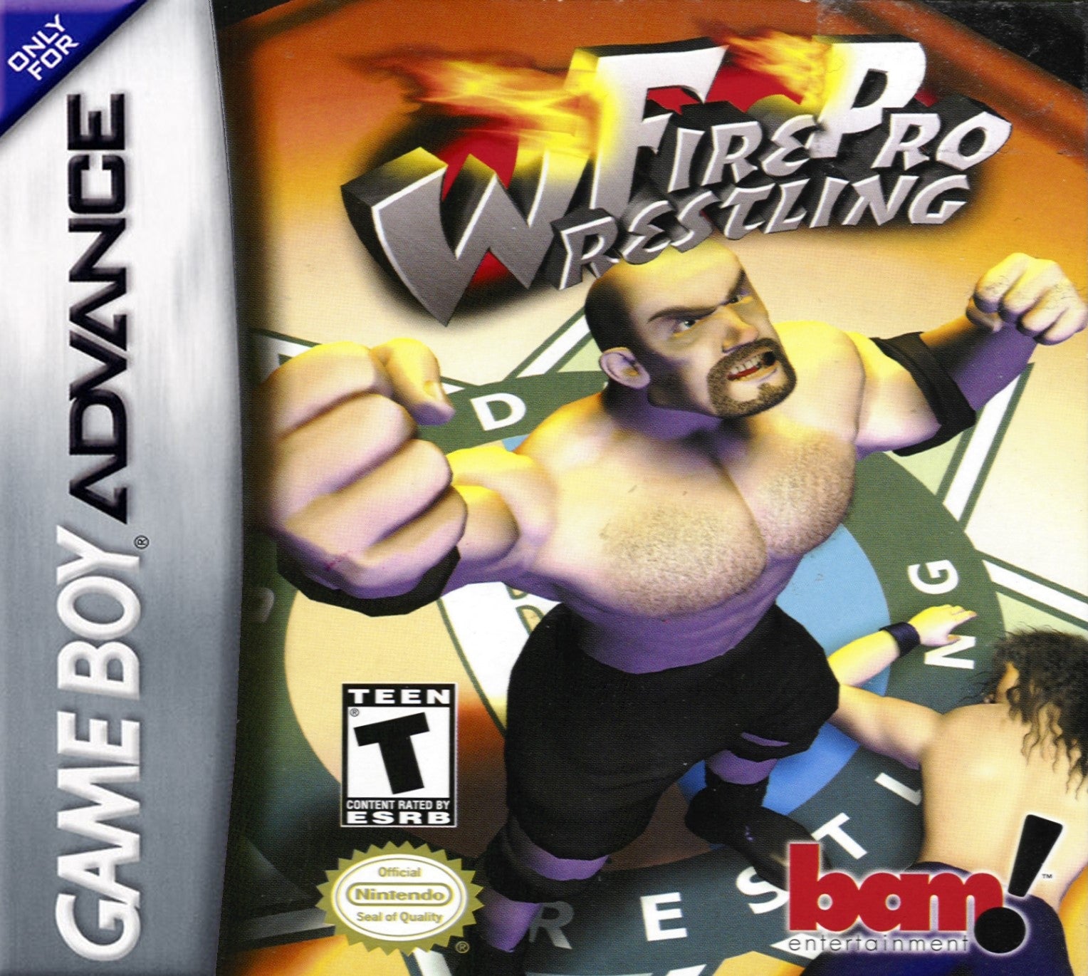 Fire Pro Wrestling 2 Game Boy Advance - Video Game - Used - CaveGamers
