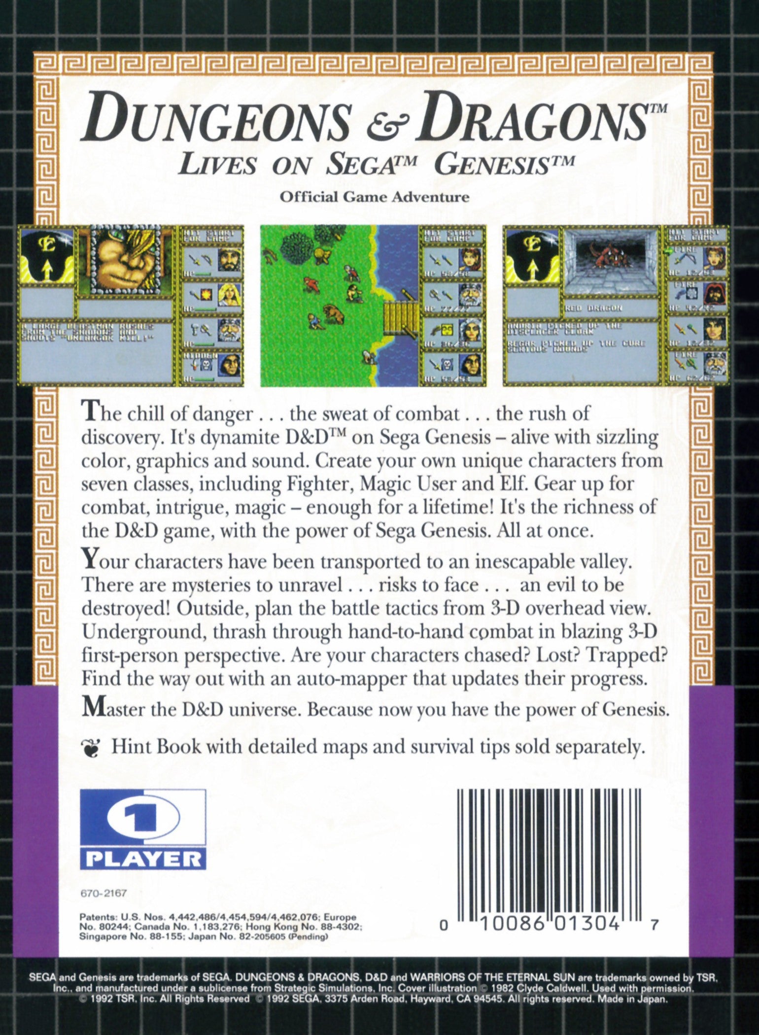 Dungeons & Dragons Warriors of the Eternal Sun Genesis - Video Game - Used - CaveGamers - Image 2