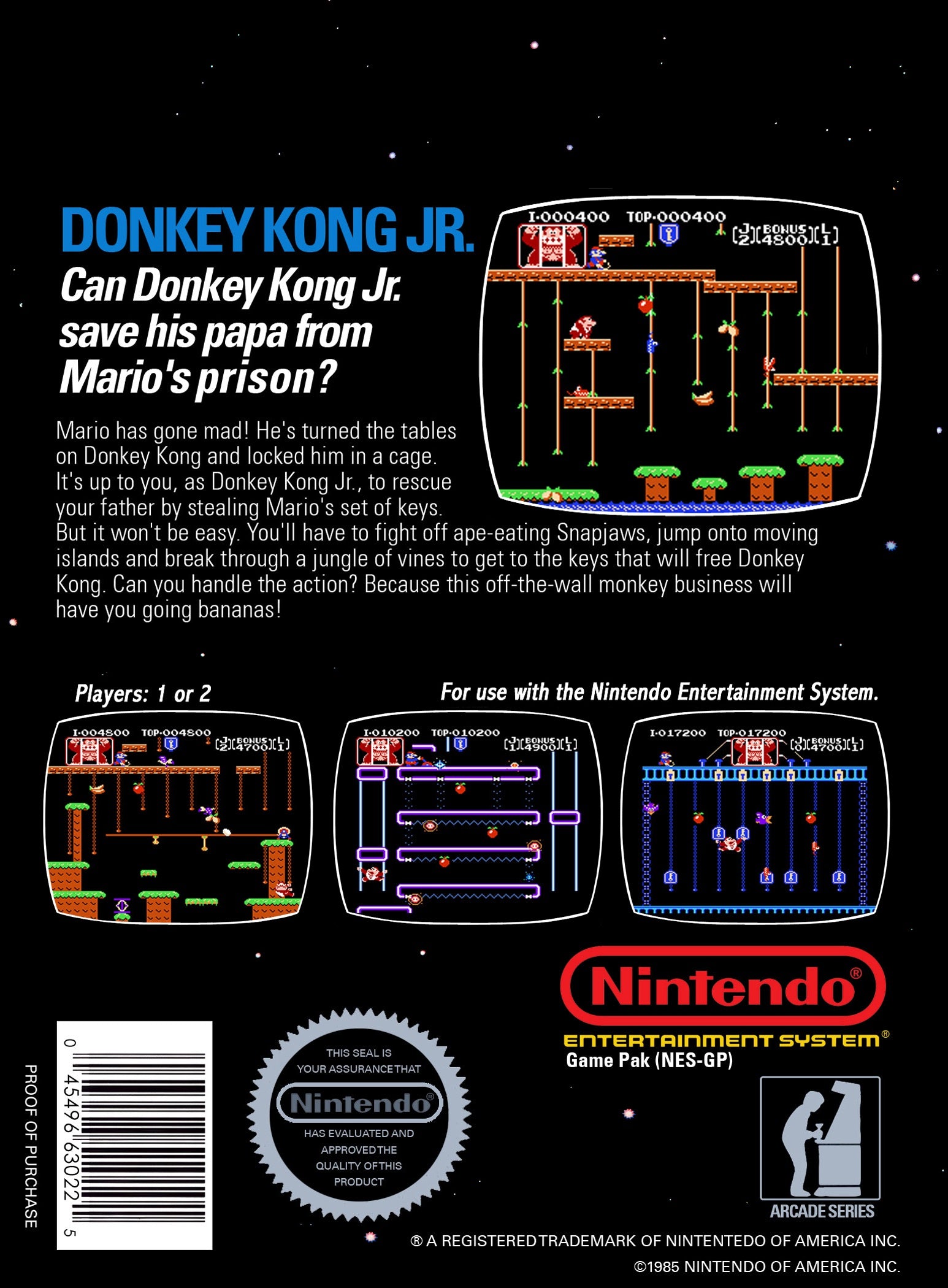 Donkey Kong Jr
