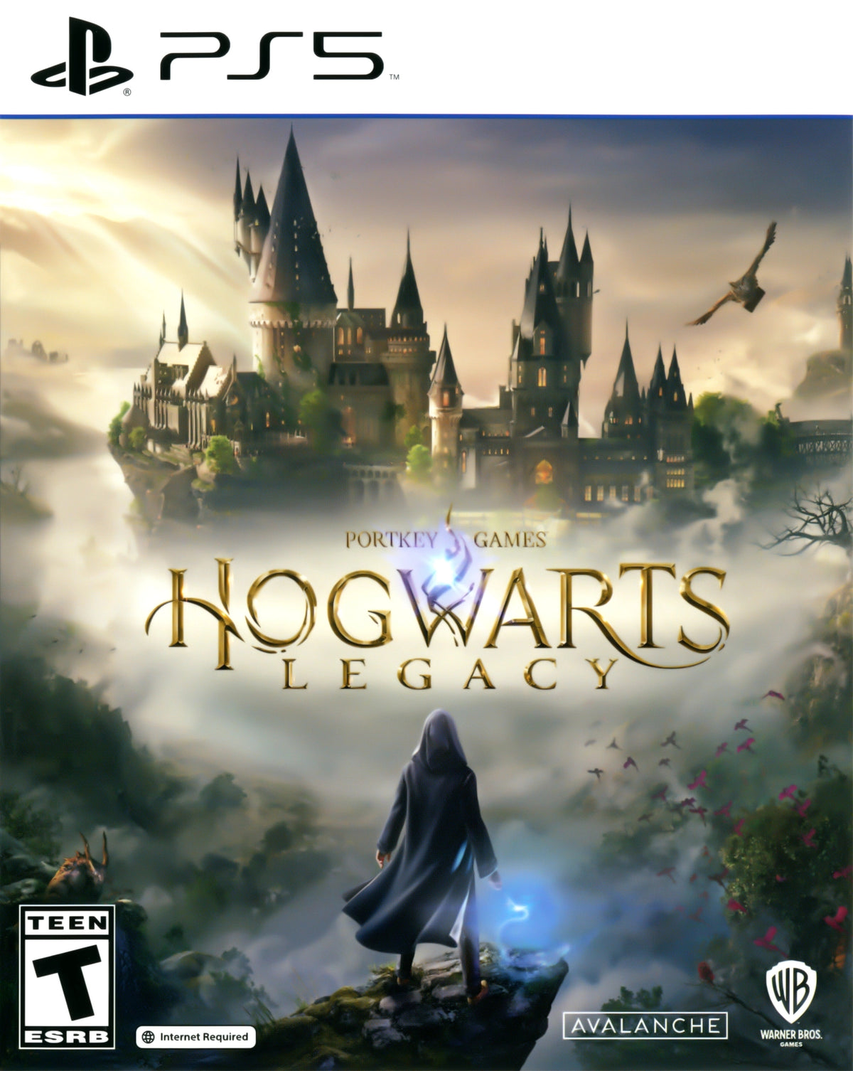 Hogwarts Legacy PS5 - Video Game - Used - CaveGamers